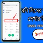 রবি সিমের ব্যালেন্স দেখার নিয়ম